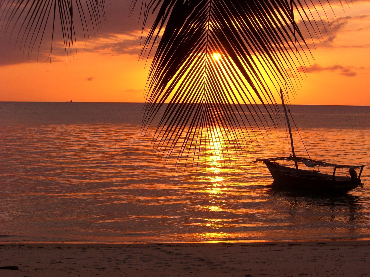 zanzibar, palm tree, water, eve, nature, boat, sunset